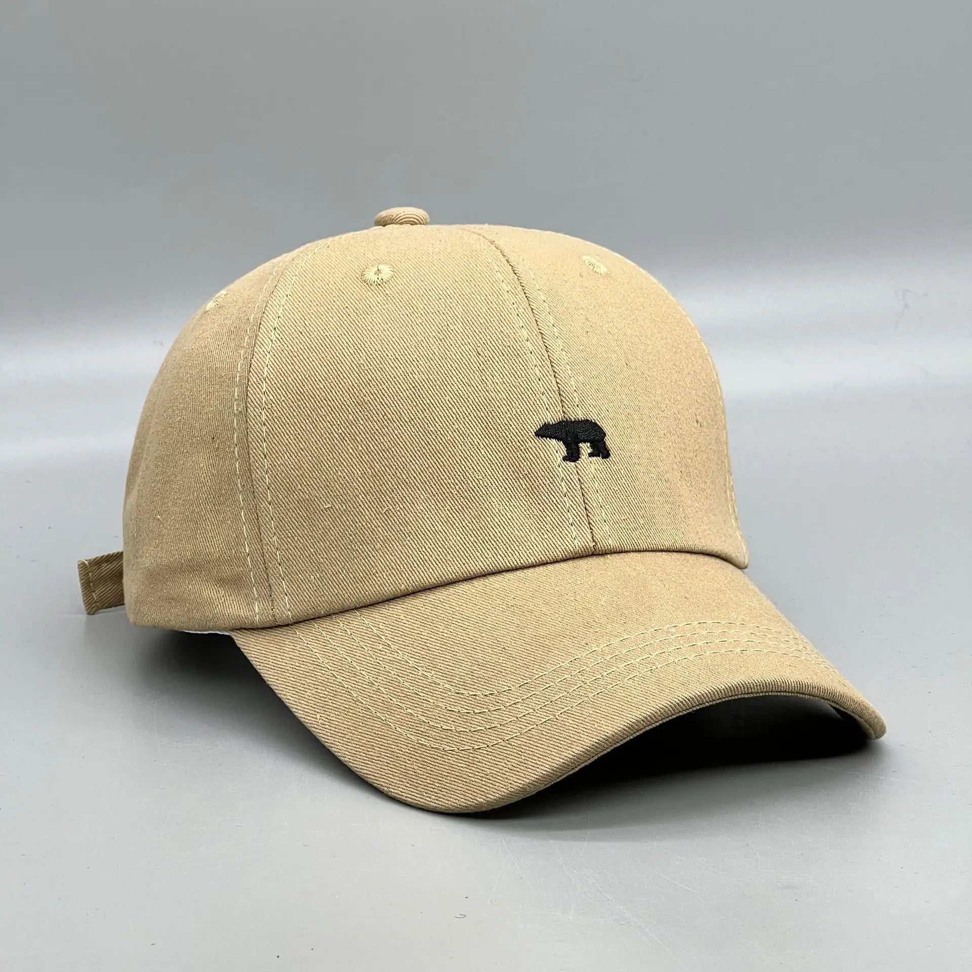 The Arctic Icon Cap
