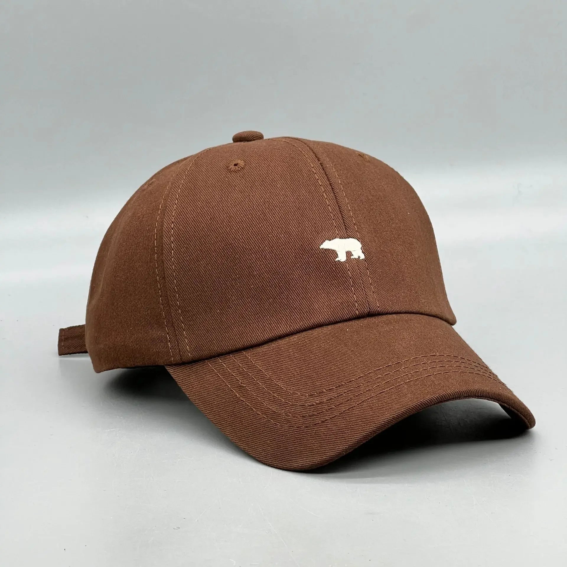 The Arctic Icon Cap