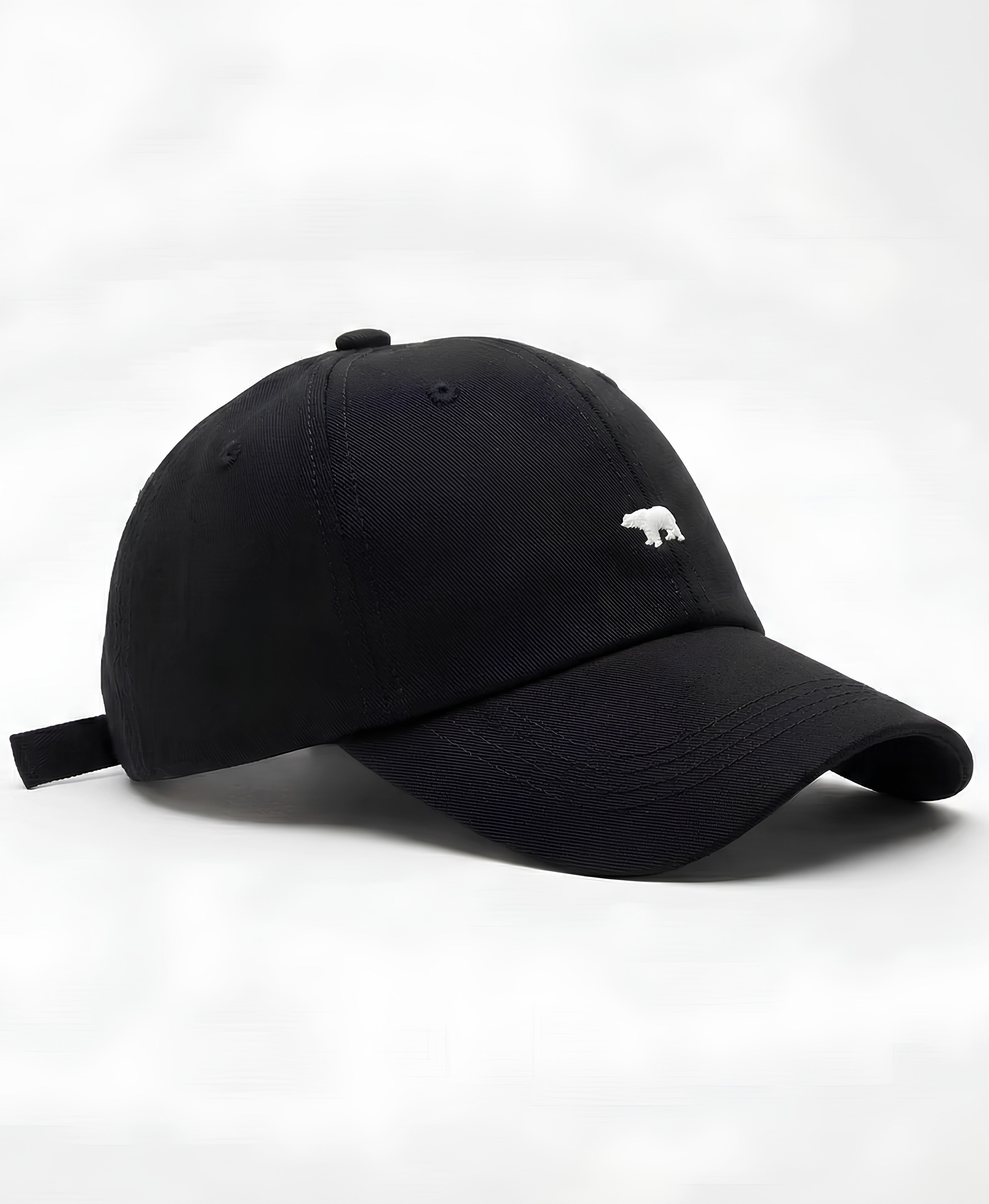 The Arctic Icon Cap